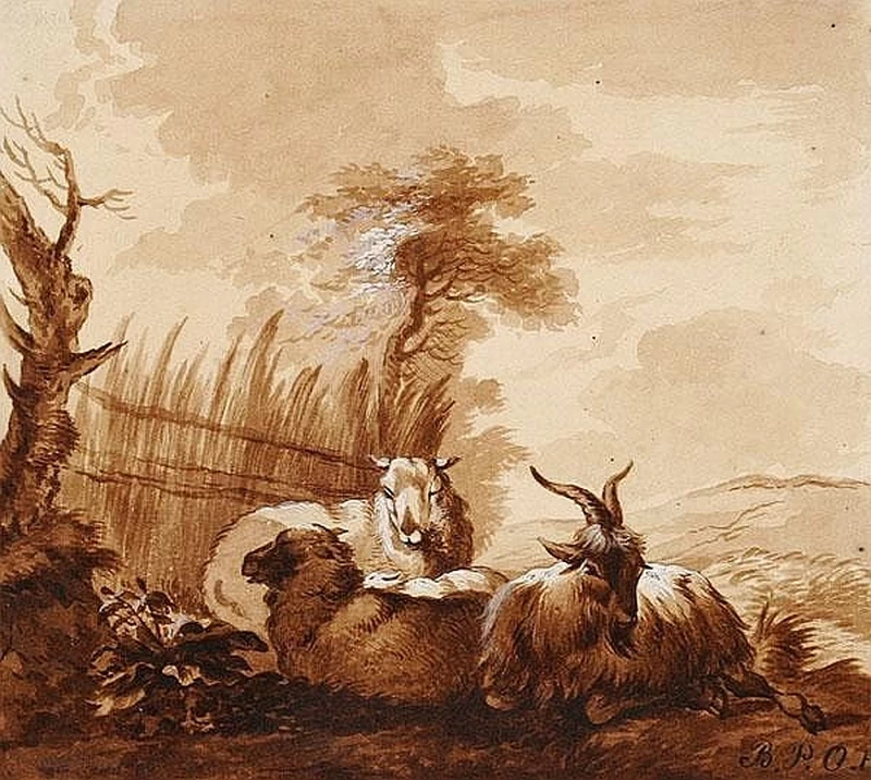 Balthasar Ommeganck - Capre e pecore riposano dietro un frangivento fatto di canne